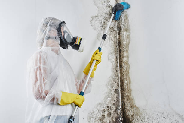 Crawl Space Mold Removal in Chepachet, RI