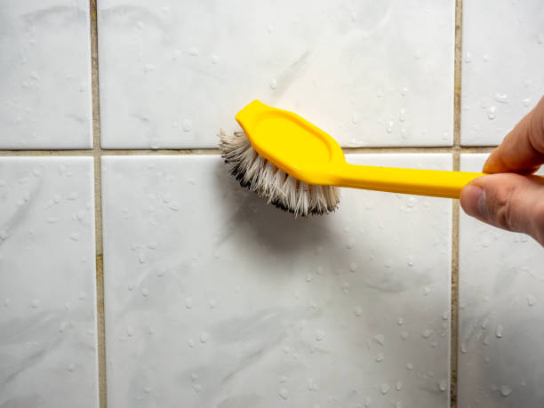  Chepachet, RI Mold Removal Pros