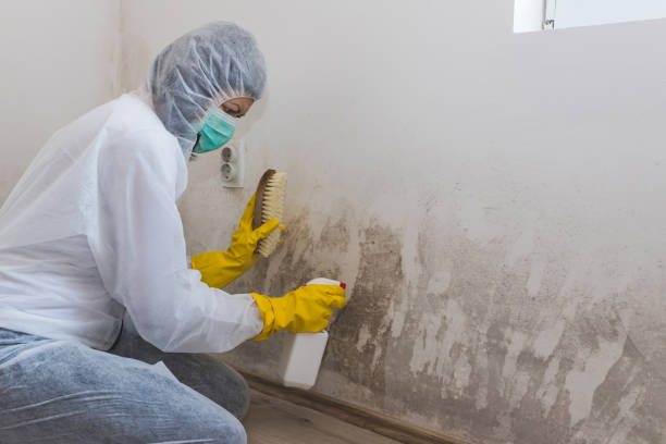 Best Water Damage Restoration  in Chepachet, RI
