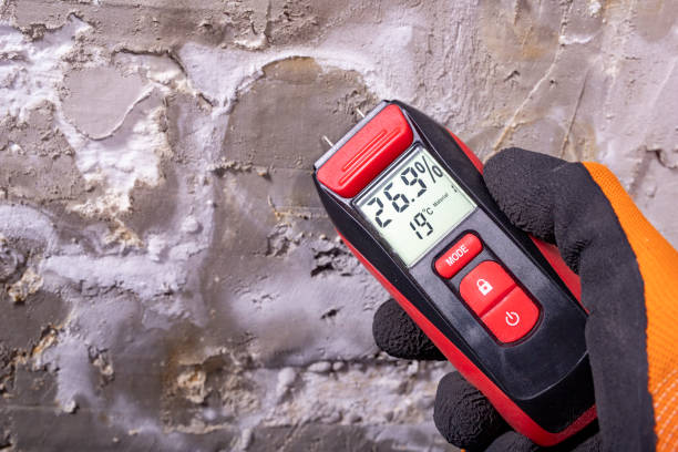 Best Office Mold Removal Services  in Chepachet, RI