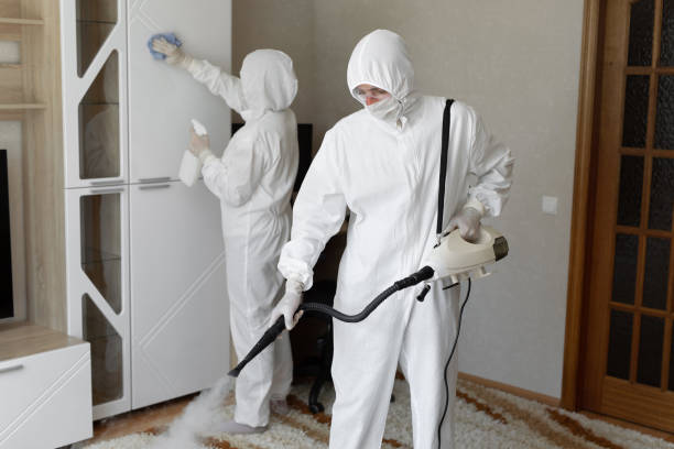 Best Mold Damage Repair  in Chepachet, RI